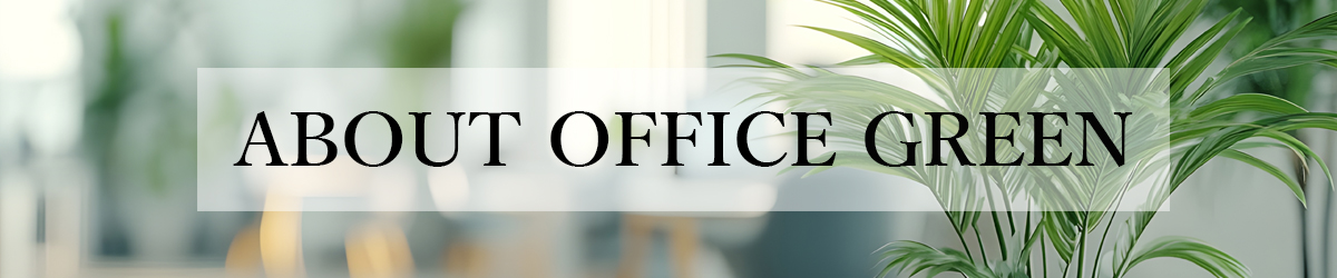 TopBannerAboutOfficeGreen1200_250.jpg