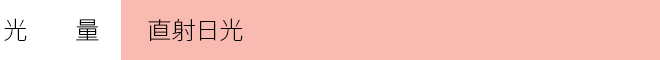 光　　量　　：直射日光　　　　　　　　　　　