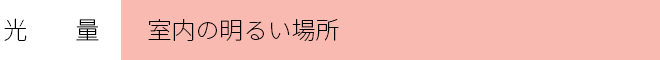 光　　量　　：室内の明るい場所　 　　　　　　