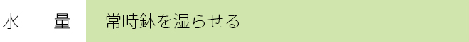 水　　量　　：常時鉢を湿らせる　　 　　　　　