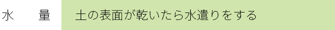 水　　量　　：土の表面が乾いたら水遣りをする 