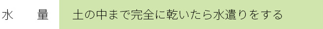 水　　量　　：土の中が完全に乾いてから水遣り