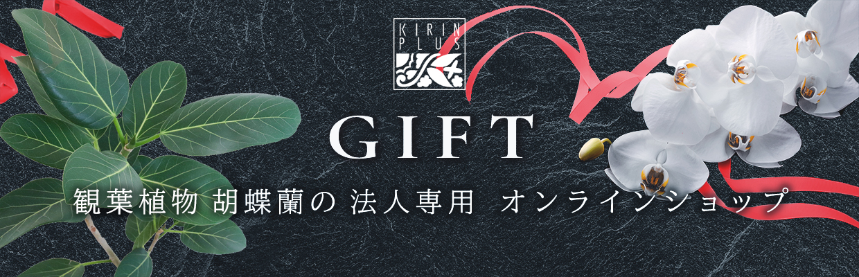 onlineshop -banner.jpg
