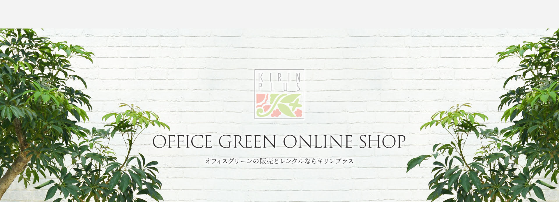 onlineshop -banner.jpg
