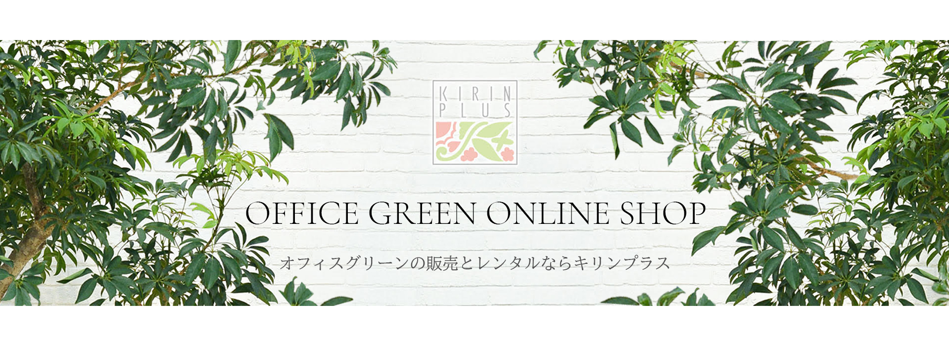 onlineshop -banner.jpg